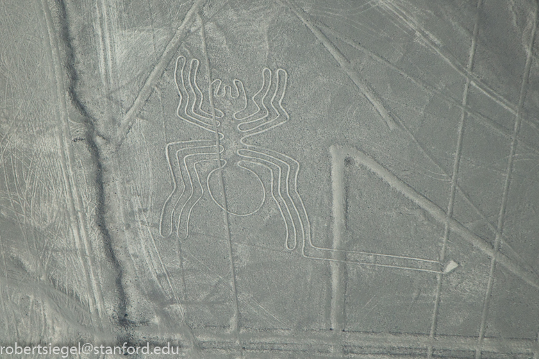 nazca